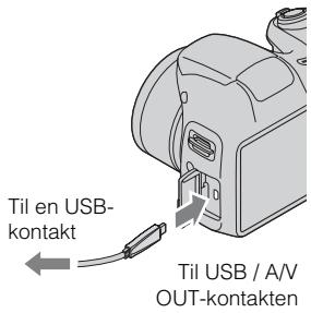 SONY CYBER-SHOT DSC-H200 - Kameraveiviser - 1