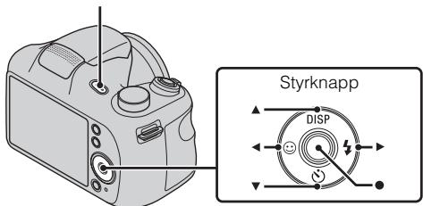 SONY CYBER-SHOT DSC-H200 - Observera - 1