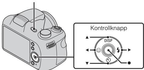 SONY CYBER-SHOT DSC-H200 - A membranous membrane protein (BMP) - 1