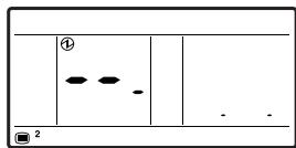 ATLANTIC ASYG 12 LLCC.UI UNITE MURAL INVERTER 3400W - Remarques - 3