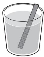 GAGGIA RI9303/01 CLASSIC MANUELLE - Mesure de la durée de l'eau - 1