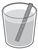 GAGGIA RI9303/01 CLASSIC MANUELLE - Medir la dureza del agua - 1