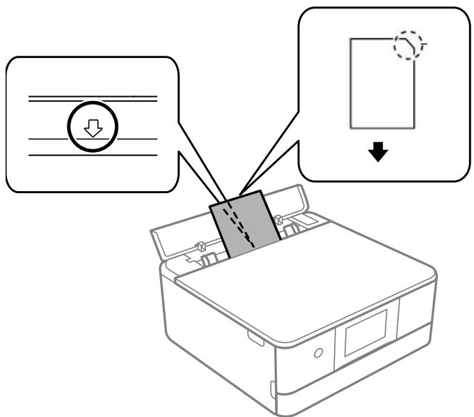 EPSON XP-8600 - Loading Paper in the Rear Paper Feed Slot - 5