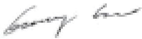 GREENWORKS 2500207UC - 2500407UC - 2504707UA - G-MAX 2500207 - EC DECLARATION OF CONFORMITY FOR MACHINERY - 3