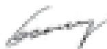 GREENWORKS 2500207UC - 2500407UC - 2504707UA - G-MAX 2500207 - Garanzia - 2