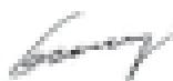 GREENWORKS GD60LM46HP - GD60LM46SPK4 - GD60LM51SPK4 - Garanzia - 2