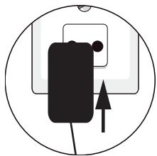 ESSENTIELB D-FRA-911 - Conexión de la base - 5