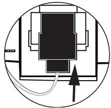 ESSENTIELB D-FRA-911 - Opmerking - 3