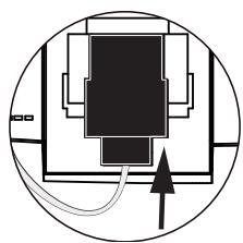 ESSENTIELB D-FRA-911 - Remarque - 3