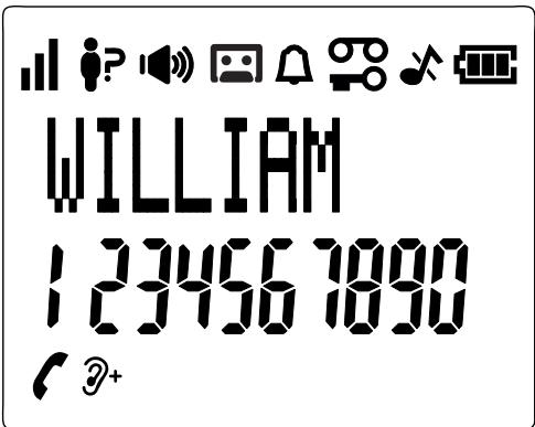 ESSENTIELB D-FRA-911 - Icons und Symbole auf dem Display - 1