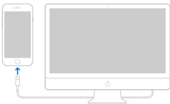 APPLE IPHONE 8 - Connect iPhone to your computer - 1