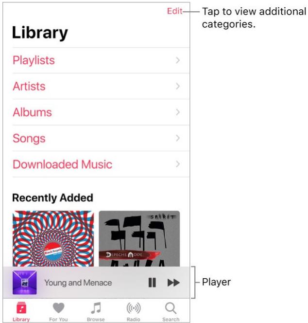 APPLE IPHONE 8 - Library - 1