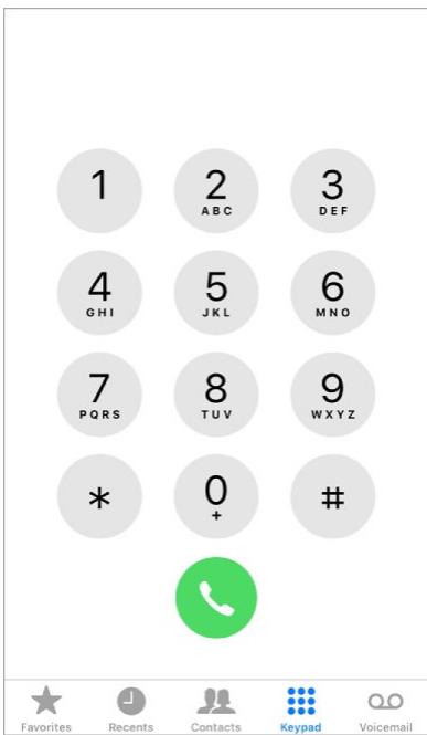 APPLE IPHONE 8 - Make a call - 1