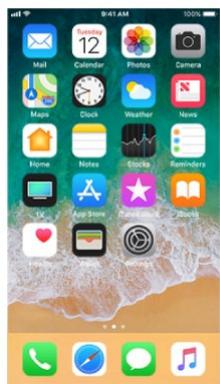 APPLE IPHONE 8 - Change the wallpaper - 3