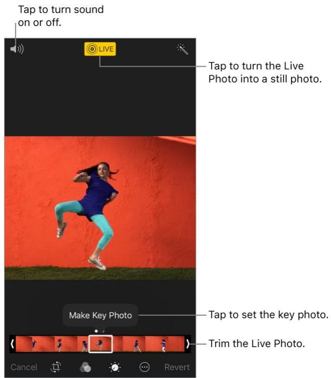 APPLE IPHONE 8 - Edit photos and trim videos - 2