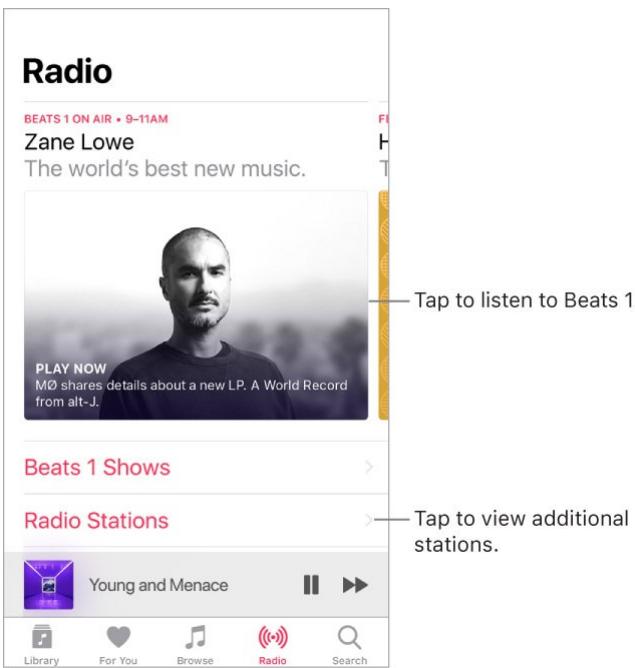 APPLE IPHONE 8 - Radio - 1