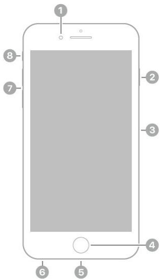 APPLE IPHONE 8 - iPhone 6s Plus and iPhone 6 Plus - 1