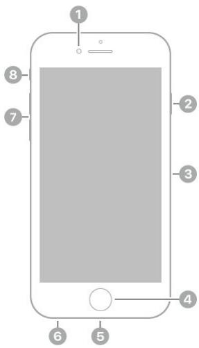 APPLE IPHONE 8 - iPhone 6s and iPhone 6 - 1