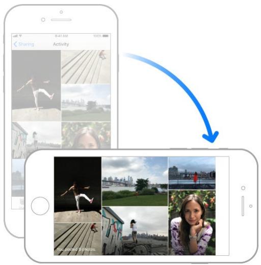 APPLE IPHONE 8 - Change the screen orientation - 1