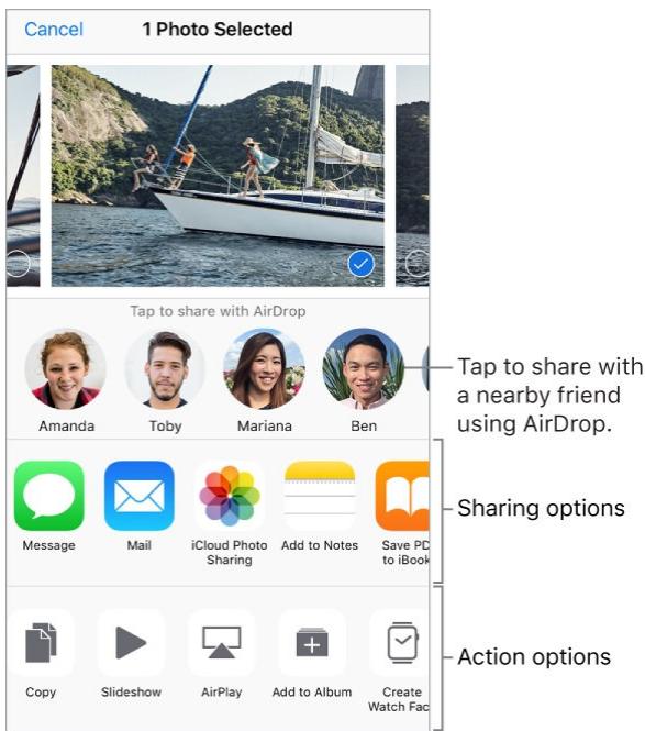 APPLE IPHONE 8 - Share files with AirDrop - 1