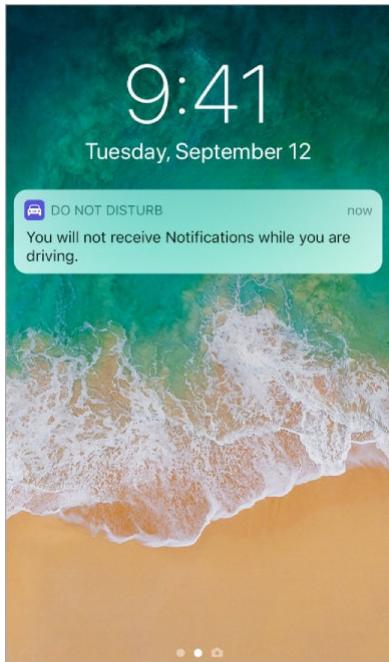 APPLE IPHONE 8 - Do Not Disturb while driving - 1