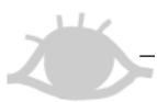 BOMANN GS 2196 - KS 163 - 2