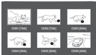 TOSHIBA SD5010KE - Viewing a thumbnail view - 1