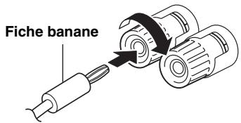 YAMAHA R-S202D - Raccordement avec fiche banane (modèles pour l'amérique du nord, l'australie, le brésil et modèle général uniquement) - 1