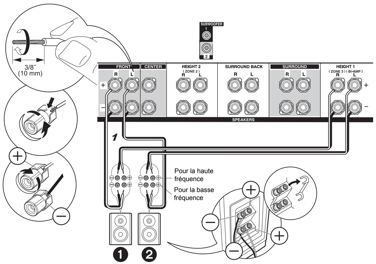 ONKYO TXL20D - TXL50D - Raccordements de base - 2