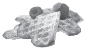 KORONA 41001 - GAUFRIER - 41010 - GAUFRIER A COUPELLES - 41011 - GAUFRIER A COUPELLES - 1