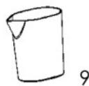 PROLINE PI21 - Description - 2