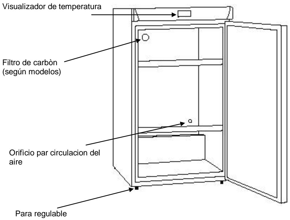 AVINTAGE AVV168B  -  AVV80 - DESCRIPCION DEL APARATO - 1