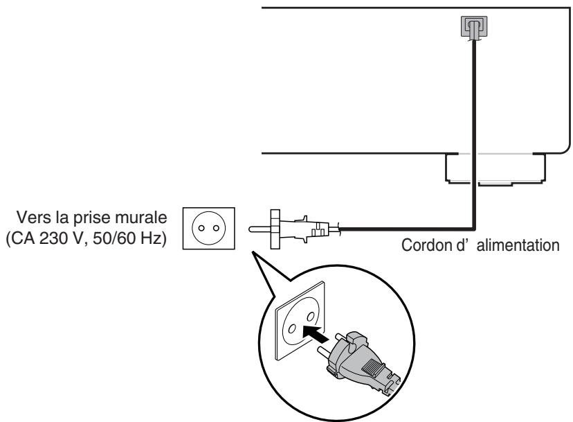 DENON DCD-800NE - Connexion du cordon d'alimentation - 1