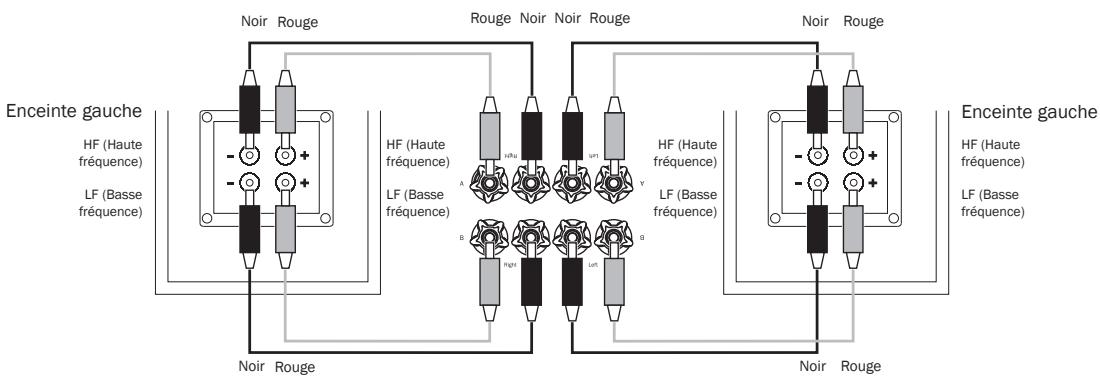 CAMBRIDGE AUDIO TOPAZ SR20 - Raccordements par bicâblage - 1