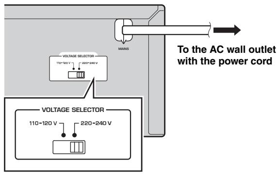 MAINS VOLTAGE SELECTOR 110-120 V 220-240 V To the AC wall outlet with the power cord VOLTAGE SELECTOR 110-120 V 220-240 V