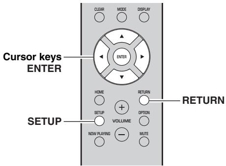 CLEAR MODE DISPLAY ENTER Cursor keys ENTER HOME RETURN SETUP VOLUME OPTION NOW PLAYING MUTE RETURN