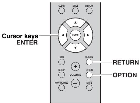 YAMAHA RS202D - Configuring playback settings for different playback sources (OPTION menu) - 1