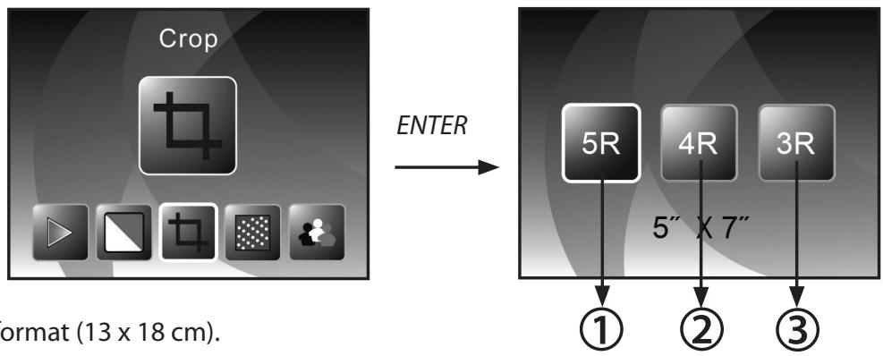 ROLLEI DF-S310 SE - Selecting the photo format (only in photo scanner mode) - 1