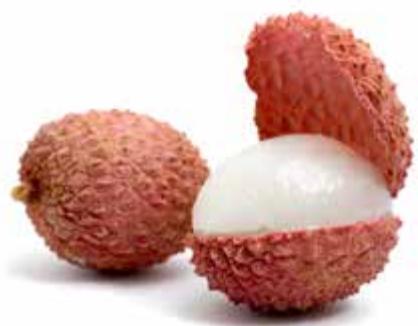 MAGIMIX 11622  -  11623 -  11625 - Pour 2 verres - 1