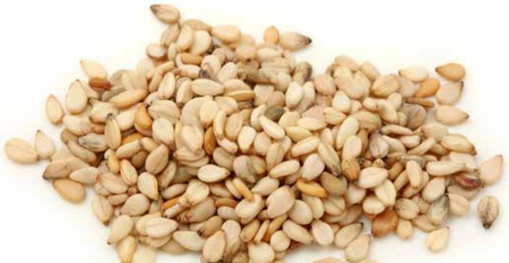 MAGIMIX 11622  -  11623 -  11625 - Gomasio (sel de sésame) - 1