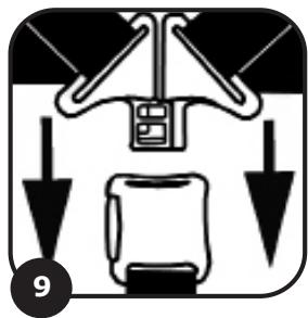 ABC 3TEC PLUS - 20