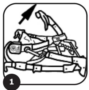 ABC 3TEC PLUS - 1