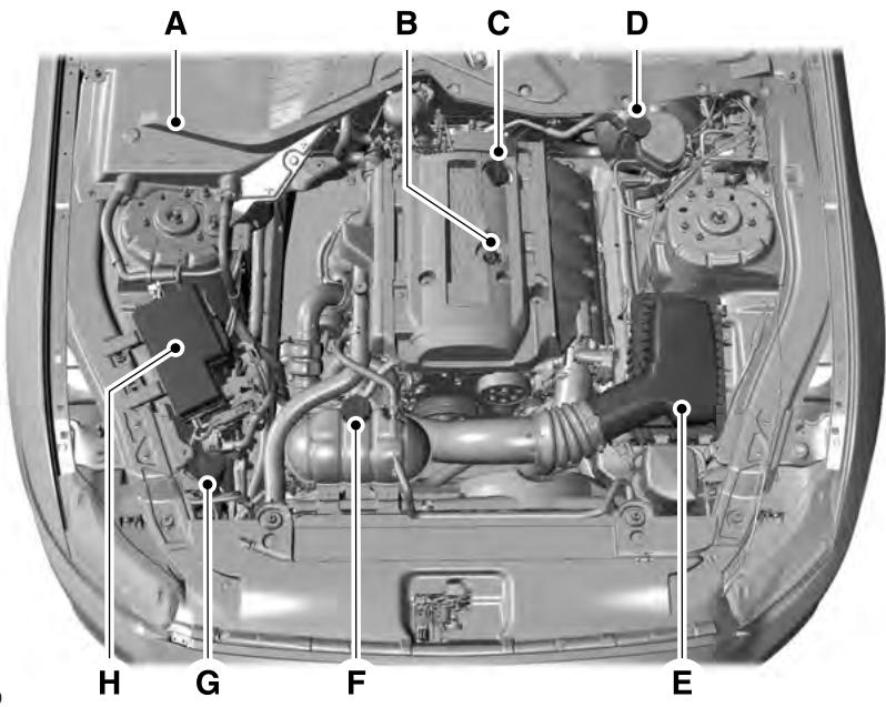 FORD EVEREST - APERCU SOUS LE CAPOT - 2.3L ECOBOOST™ - 1