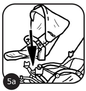 ABC SALSA 4 - 11