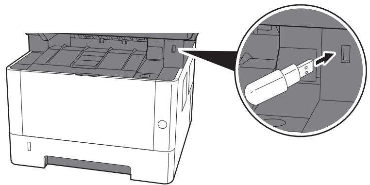 KYOCERA ECOSYS M2135DN - Brancher la mémoire USB. - 1