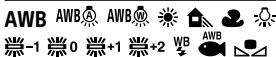 SONY ALPHA A7 III - JPEG RAW RAW RAW+J RAW+J - 2