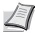 KYOCERA ECOSYS M6530CDN - ECOSYS M6630CIDN - Nom de domaine (Saisie du nom de domaine) - 1