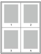 XEROX D95 - Impression de plusieurs pages sur une seule feuille - 1