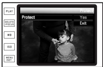 LEICA T TYPE 701 - Kies in het menu de optie Protect (Beveiligigen) - 1
