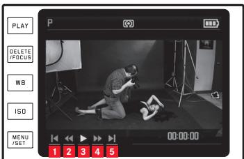 LEICA M TYPE 246 - Lecture: - 1